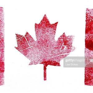 Meet your Posher, Madeleine